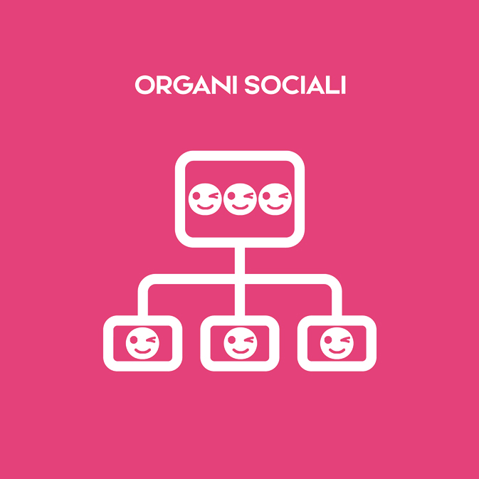 Organi sociali
